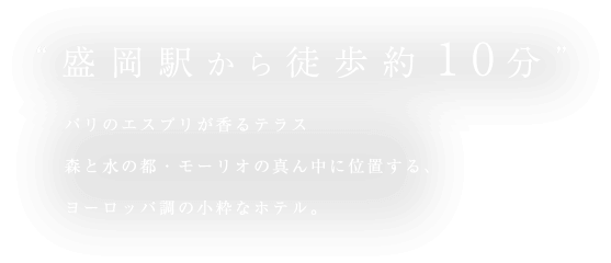 盛岡駅から徒歩約10分