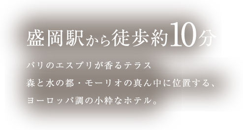 盛岡駅から徒歩約10分